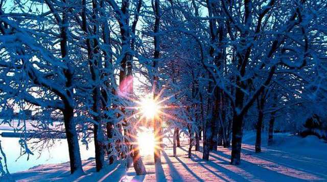 Потепление до +15: Синоптики сообщили о погоде в Украине