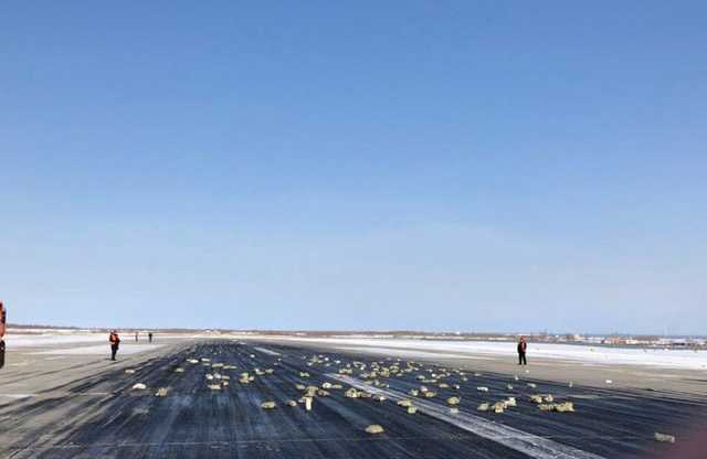 Раскидано по полю: в России из самолета вывалилось 9 тонн золота