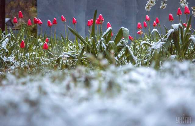 Синоптик рассказала, когда в Украине потеплеет до +17