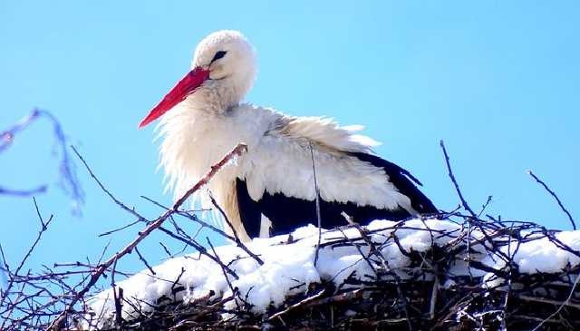 Прогноз погоды в Украине на неделю: как сильно потеплеет, и где ждать дождей