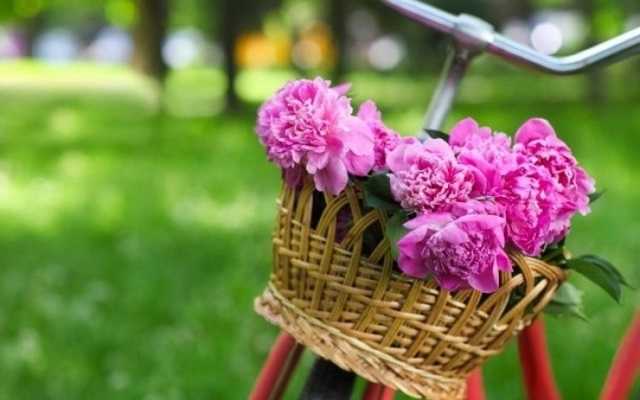 «Отпуск» на майские: украинцы будут отдыхать 10 дней