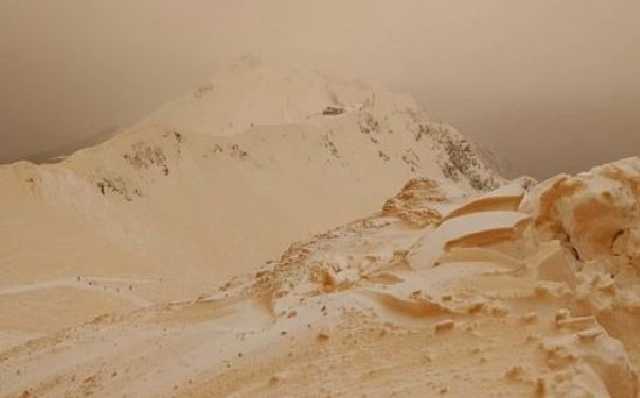 Вслед за Украиной кровавый снег выпал в Грузии. Эксперты назвали причину