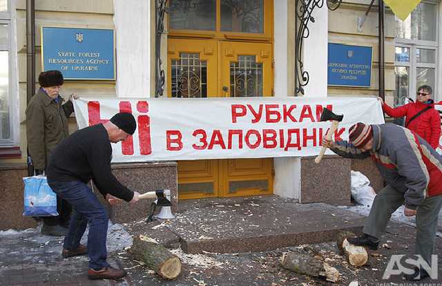 Леса и животные в бывших угодьях Януковича на Сухолучье уничтожаются