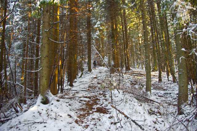На Львівщині загинув десятирічний хлопчик, який копав криївку