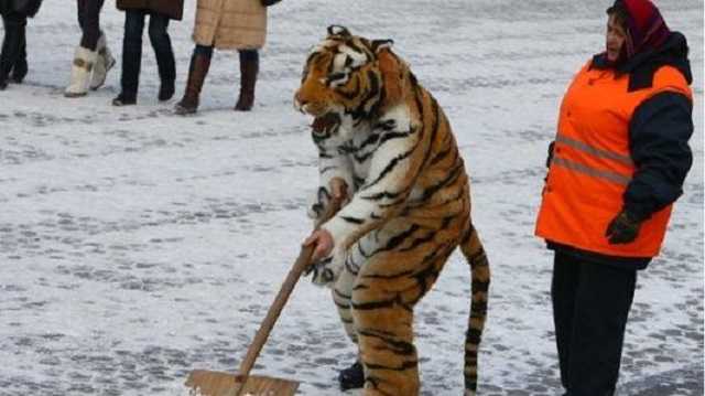 "Пэрэмога! Снег идет по летнему времени!" Реакция соцсетей на сегодняшний снег