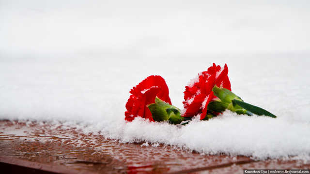 В новых правилах похорон в Украине увидели подарок убийцам