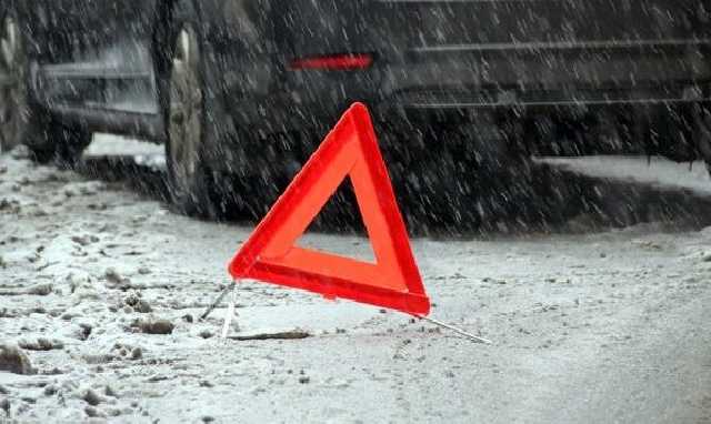 В соцсетях установили киевлянина, переехавшего собаку на автомобиле BMW: им оказался известный предприниматель