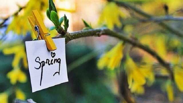 Сегодня в Украине потеплеет до +17