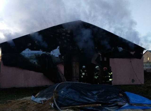 Под Киевом в пожаре заживо сгорели лошади