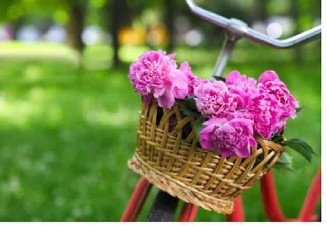 В мае будет 10 официальных выходных и праздников