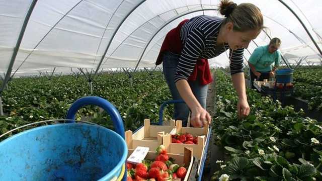 Платят 55 тыс. грн в месяц. Куда студентов зовут на летние заработки