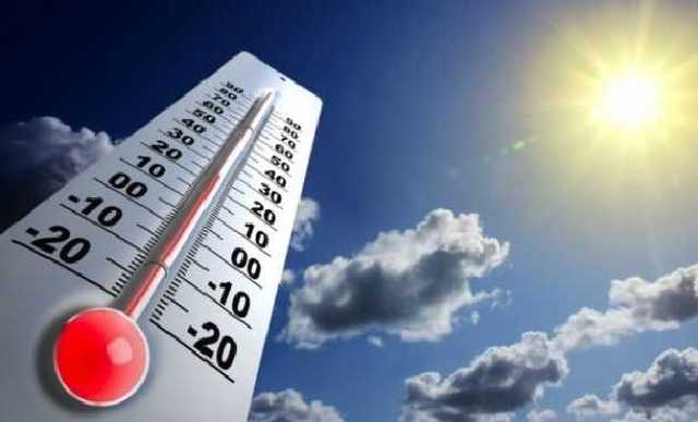 Синоптики обещают до 24 тепла днем и заморозки ночью