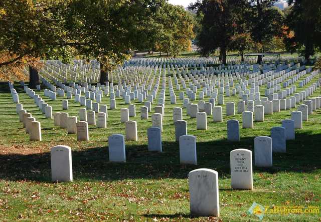 Вдвое дешевле: украинцев предложили хоронить по-новому