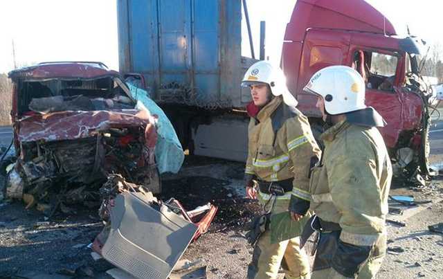 В Вологодской области разбился микроавтобус, погибли семь человек