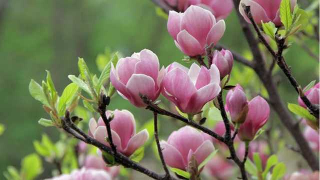 Битва синоптиков. Со среды в Киеве резко похолодает и пойдет дождь