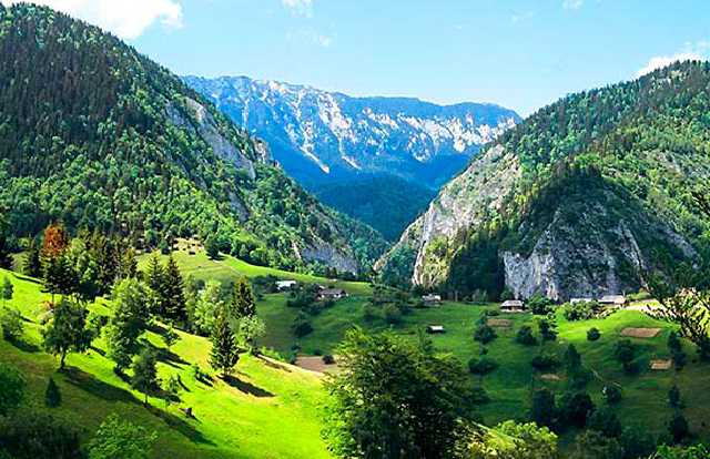 Строительство нового курорта в Карпатах уничтожит краснокнижных животных и водные ресурсы