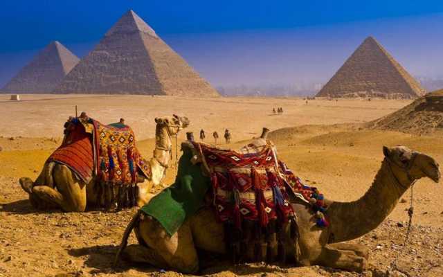 Украинцев попросили отложить отпуска