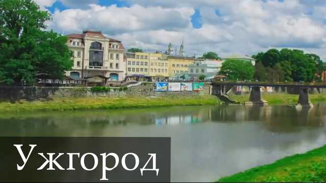 Штырь через все тело: Ужгород шокирован кошачьим маньяком. Фотофакт