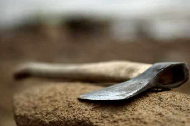 На Волині син вдарив сокирою матір, а потім спробував накласти на себе руки