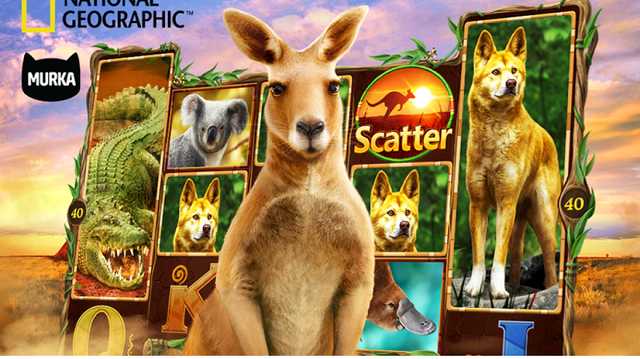 National Geographic разорвала отношения с “Murka” Мaкса Пoлякoва