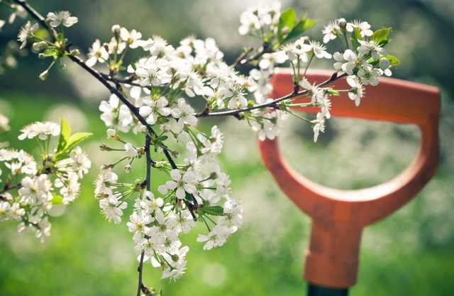 Сегодня в Украине потеплеет до +27