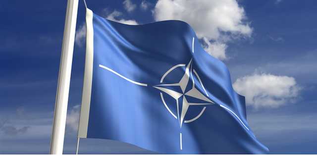 В Эстонии начинаются масштабные военные учения НАТО