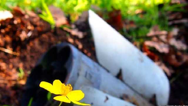 Что осталось от заповедников на Донбассе за 4 года войны?