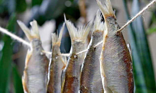 В Киеве зарегистрирован первый случай ботулизма