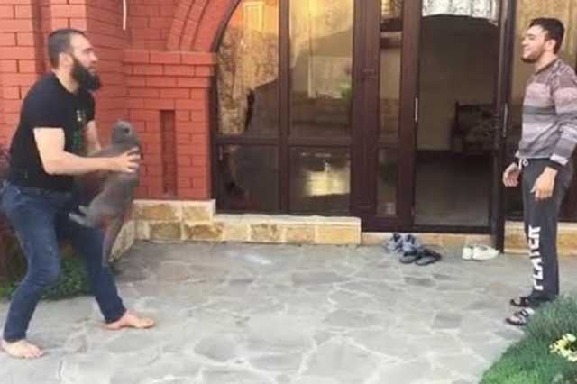 "Мозги игрушечные": чеченские бойцы вызвали гнев в сети, превратив кота в мяч