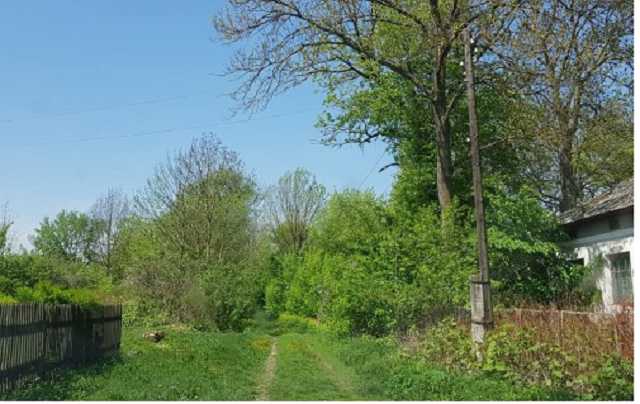 Так вмирає колись хліборобська, сільськогосподарська Україна – блогер