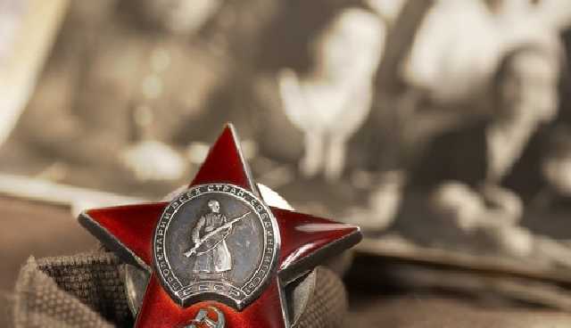 "Вместо мозгов - пилотка": россиянка разозлила сеть поздравлением "с войной"