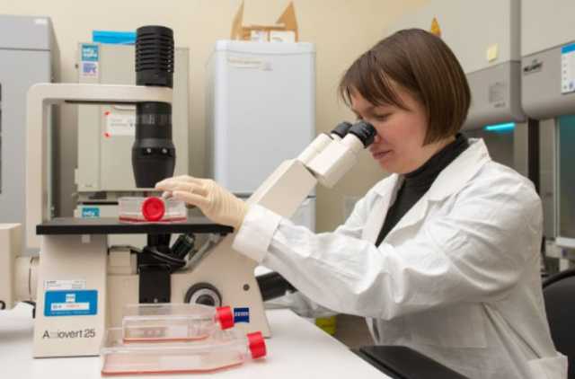 Массовое отравление детей в Черкассах: из лаборатории пришли результаты анализов