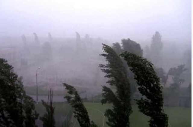 Закройте окна: в Киеве ожидается ураганный ветер