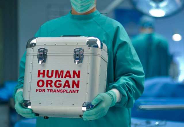 Рада приняла закон о трансплантации: все подробности