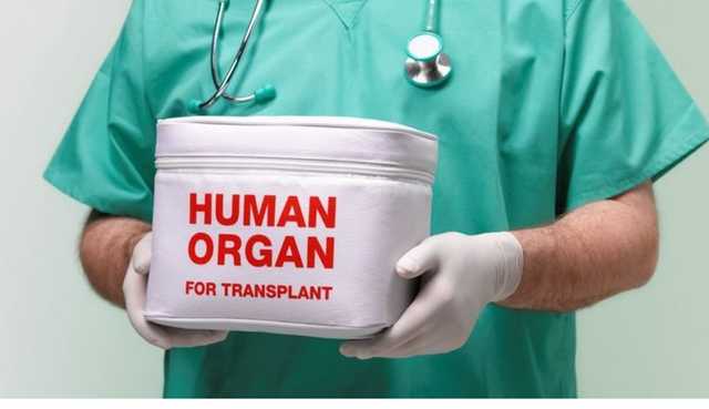 Депутаты "подписали" на донорство 5 тысяч украинцев в год