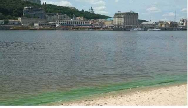 В киевских водоемах нашли кишечную палочку: список