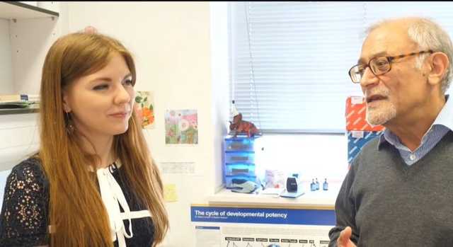 Сдала ВНО на 600 баллов: украинка в Кембридже готовит прорыв в медицине