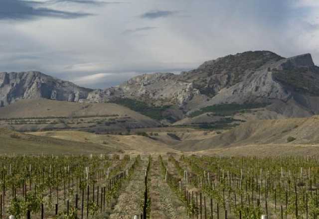 Директора заводу "Масандра" позбавили всіх державних нагород