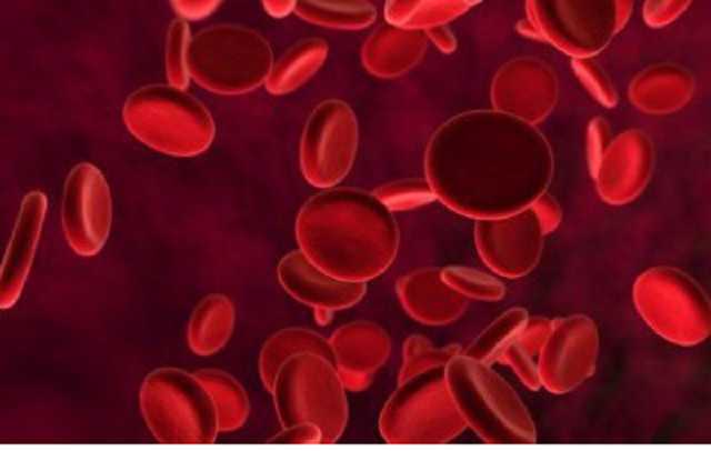 Потрібна кров: відома волонтер звернулася до жителів Києва