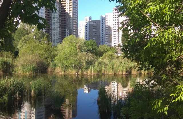 В Киеве снова начали засыпать озеро Утиное на Позняках