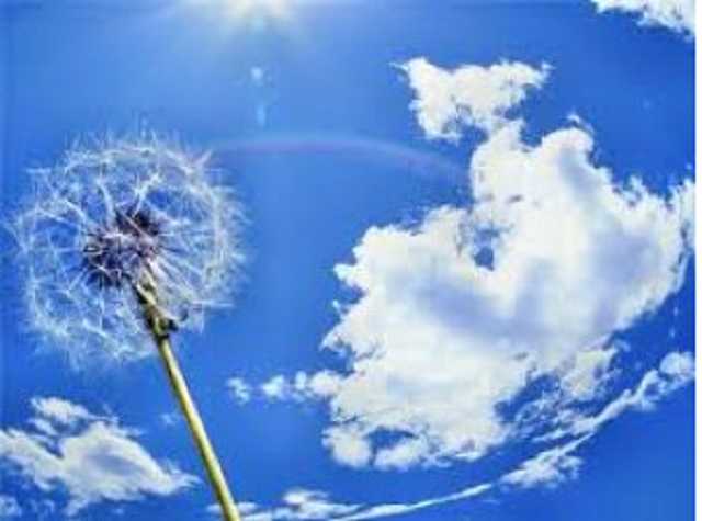 В Киеве загрязнение воздуха формальдегидом превысило норму в пять раз