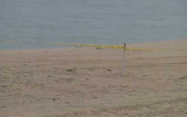 В Нью-Йорке разбился самолет: есть погибшие