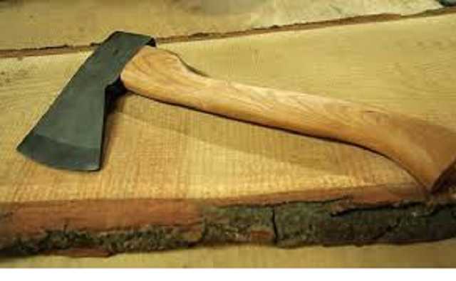 На Полтавщине 6-летний мальчик чуть не отрубил топором три пальца 2-летней девочке