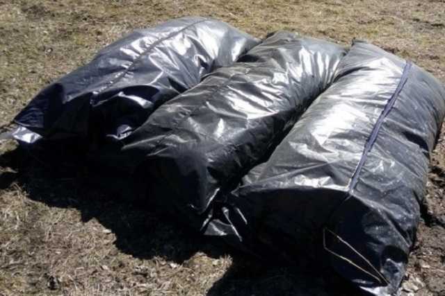 На Днепропетровщине в сливной яме нашли три трупа