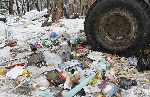 Эколог: Опасные отходы в Украине "утилизируют" фиктивные предприятия, которым Минэкологии выдает лицензии