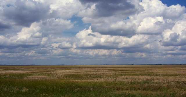 Крымские оккупанты признали гибель урожая на полуострове