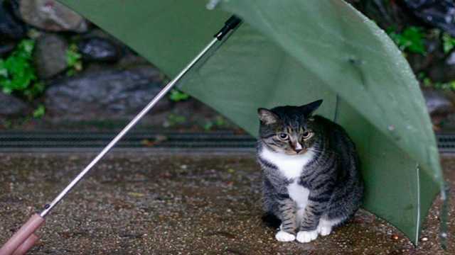 В Украину приходит арктический холод