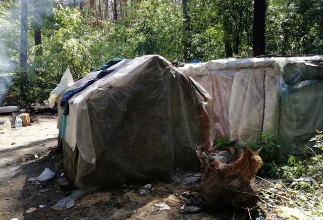 В Киеве ромы захватили национальный парк под табор, отбиваются камнями и кирпичами