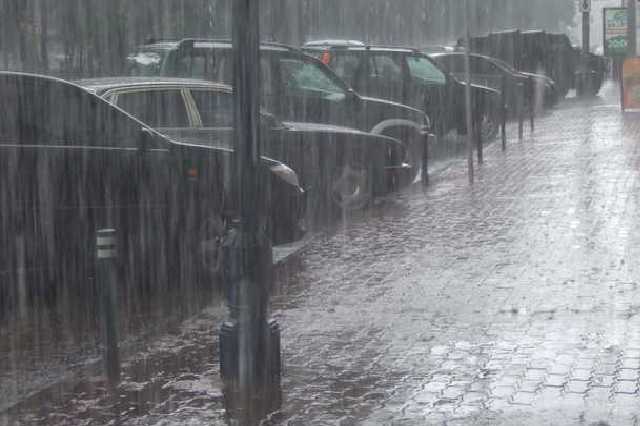 В Киеве во время ливня и шквального ветра упавшее дерево убило женщину