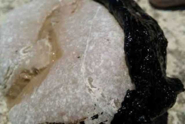 Люди боятся выходить на пляжи. В Крыму масштабное ЧП